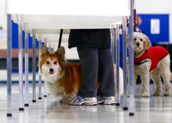 Crowded field emerges in Michigan’s 2026 secretary of state race