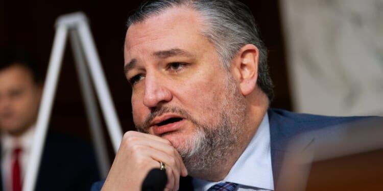 Cruz says AOC and Mamdani two 2028 Democratic front-runners