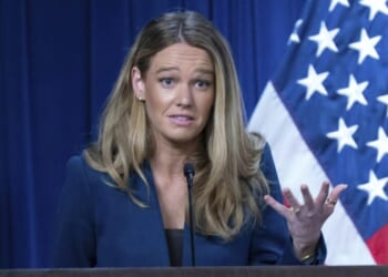 DHS playing 'whack-a-mole' shooting down made-up ICE stories