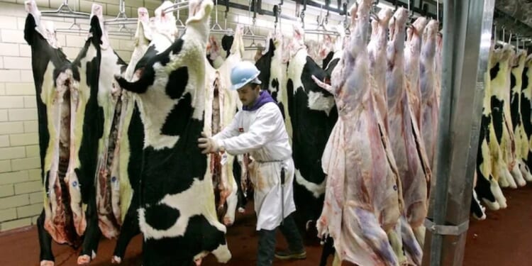 Do Illegal immigrants steal American jobs?