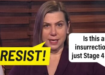 Douglas Andrews: The Scummy Six Insurrectionists