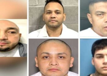 Exclusive: ICE rounds up pedophiles, rapist, other illegal offenders — ‘some of the worst crimes imaginable’