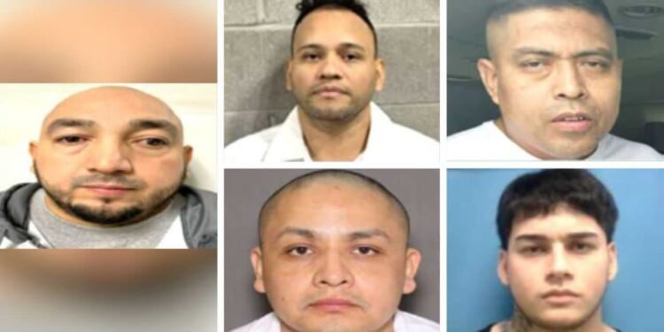 Exclusive: ICE rounds up pedophiles, rapist, other illegal offenders — ‘some of the worst crimes imaginable’