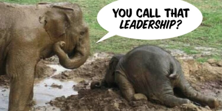 Gregory Lyakhov: Why Republicans Lost This Election