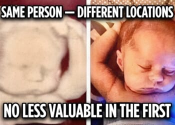 Gregory Lyakhov: Why Subjective Definitions of Life Cannot Guide Abortion Law