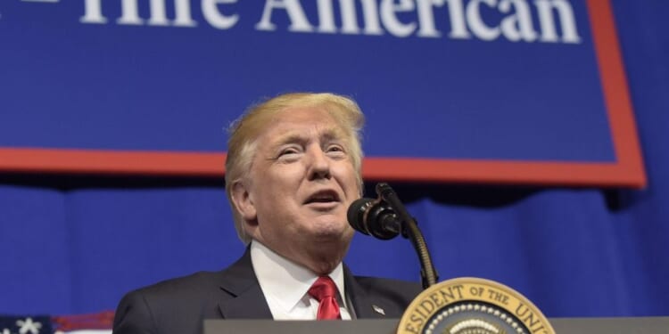 How importing high-skilled workers from around the globe affects Americans