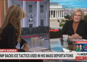 ICE Agents, 'Monster' Trump 'Using Chemicals' on Schools