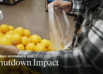 Impact on Food Banks During Government Shutdown