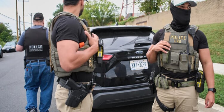 Lawyers for 'sandwich guy' argue thrown submarine 'certainly did not' harm officer