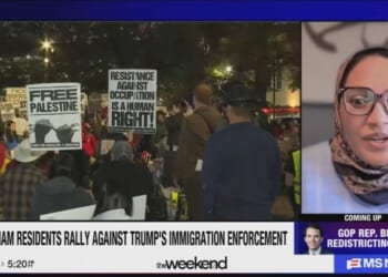 MS NOW Lets NC Dem Slam 'Un-American' Arrests of Illegal Aliens