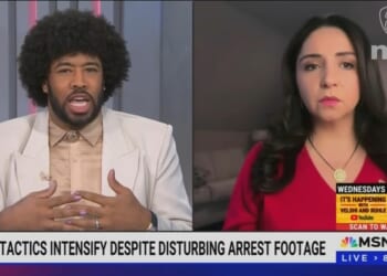 MSNBC Lets Dem Guest Call DHS 'Domestic Terrorism Organization'