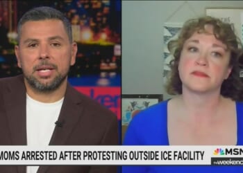MSNBC's Ayman Mohyeldin Thanks Anti-ICE Guest for Her Chicago Protesting