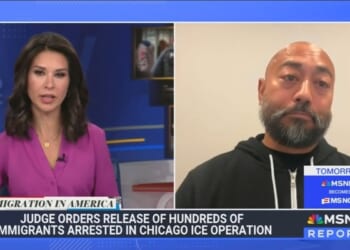 MSNBC's Cabrera Lets Liberal Activist Promote Anti-ICE Protests