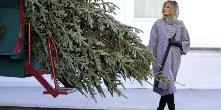 Melania Trump to receive White House Christmas tree