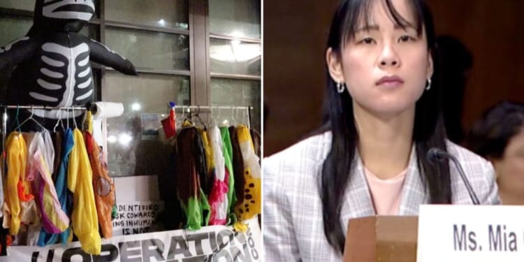 Mia Cathell testifies on anti-ICE uprisings at Senate judiciary hearing