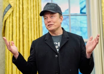 Musk follows Trump's lead with eleventh-hour Cuomo endorsement