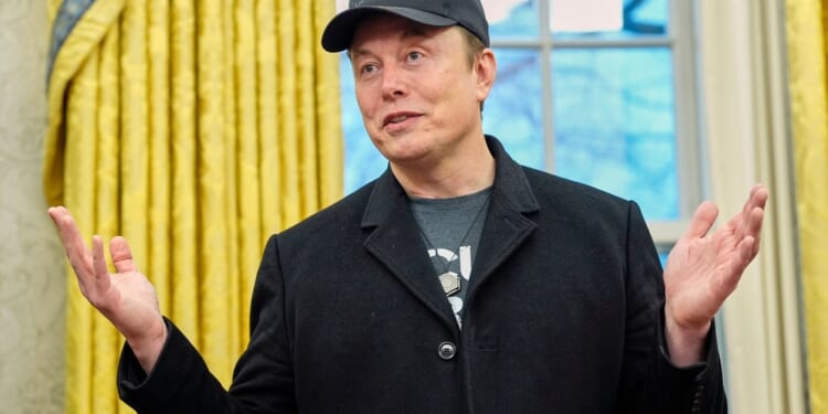 Musk follows Trump's lead with eleventh-hour Cuomo endorsement