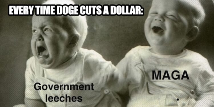 Nate Jackson: The DOGE Postmortem