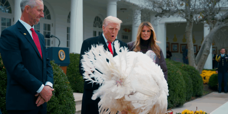 Nate Jackson: Turkeys, Trump, and Really Giving Thanks