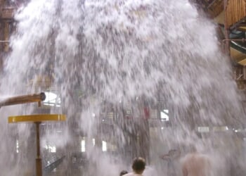 Nearly 50 cars vandalized at Great Wolf Lodge on Thanksgiving