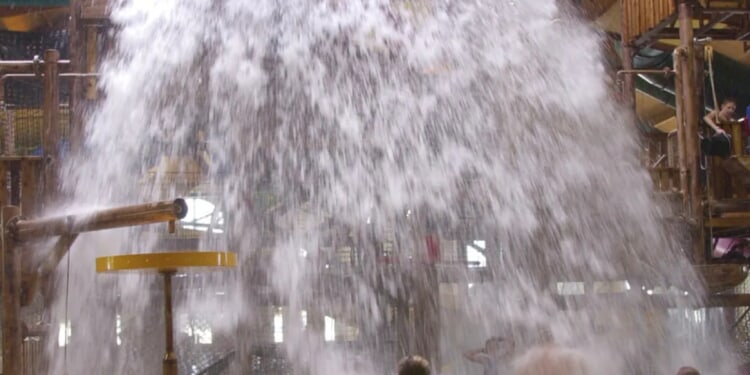 Nearly 50 cars vandalized at Great Wolf Lodge on Thanksgiving