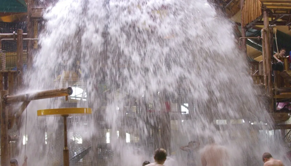 Nearly 50 cars vandalized at Great Wolf Lodge on Thanksgiving