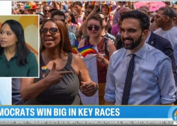 Networks Celebrate ‘Earthquake’ Dem Wins, Predict Blue Wave in 2026