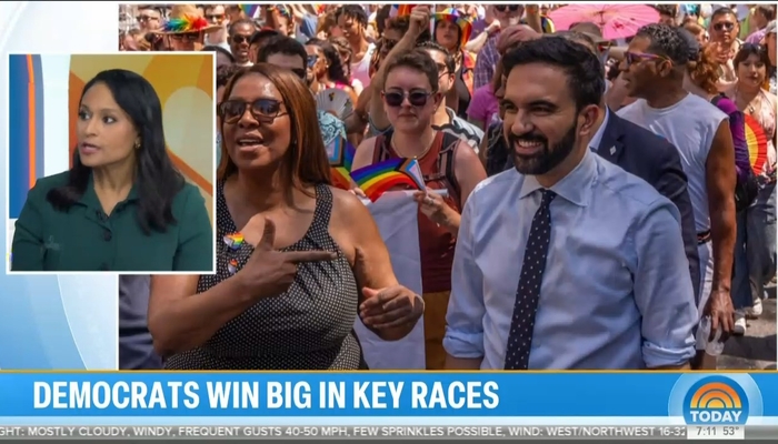 Networks Celebrate ‘Earthquake’ Dem Wins, Predict Blue Wave in 2026