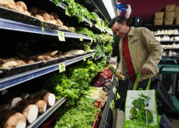 Nevada Dems plan SNAP workaround in case of funding gap