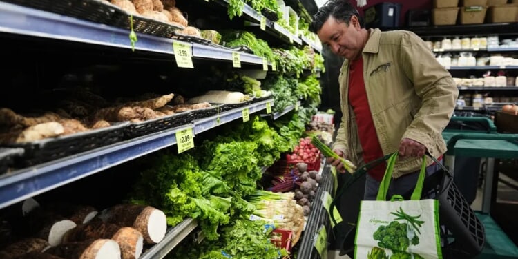 Nevada Dems plan SNAP workaround in case of funding gap