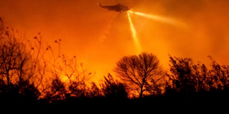 No 'political will' to rebuild California after the wildfires: Tiana Lowe Doescher