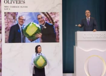 Oliver Helps Raise $1.5 Million For Public Broadcasting