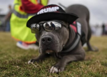 PETA a 'lefty' group? Think again