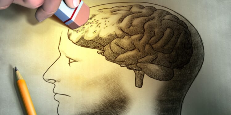 Pass-Fail - Washington Examiner