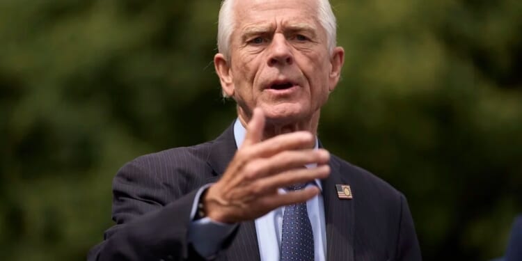 Peter Navarro's book is a raw retelling of his experience in prison