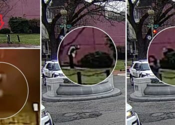 Police walked right past DNC pipe bomb to first look under a bush where bomber sat 17 hours earlier