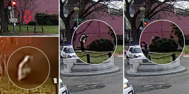 Police walked right past DNC pipe bomb to first look under a bush where bomber sat 17 hours earlier