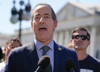 Raskin says 'huge' Democratic Party tent has room for Greene