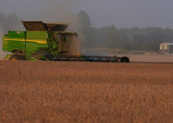 Rising energy prices squeeze farmers and Thanksgiving consumers