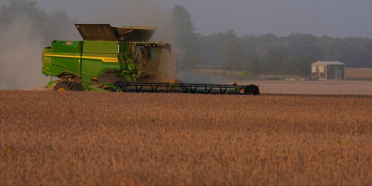 Rising energy prices squeeze farmers and Thanksgiving consumers