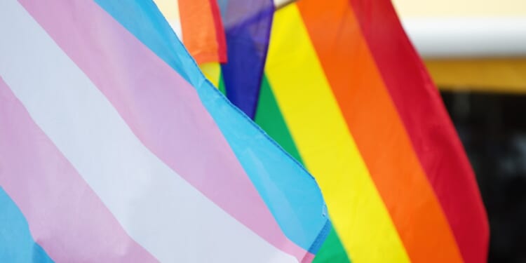 School district drops appeal of gender ideology ruling