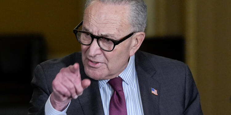 Schumer says Trump DOJ can't 'f*** around' in releasing Epstein files