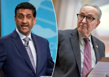 Schumer's handling of shutdown is 'final straw,' Khanna says