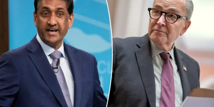 Schumer's handling of shutdown is 'final straw,' Khanna says