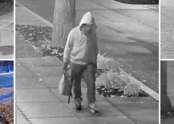 'She's one of us!' Steve Baker stuns Glenn Beck with bombshell revelation about J6 pipe-bomb suspect