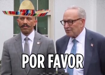 Sophie Starkova: Illegals DO Get Healthcare Money