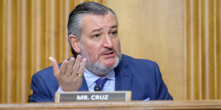 Ted Cruz slams Republican colleagues for not denouncing Tucker Carlson