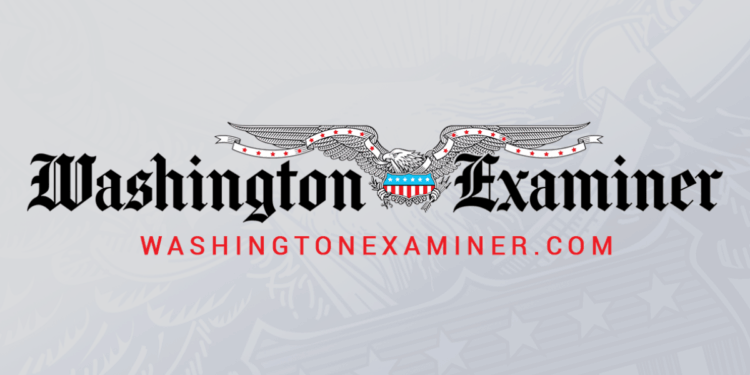 Texas officials seek to establish Turning Point chapters