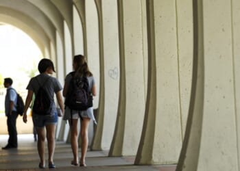 The woke war on standards is destroying higher education