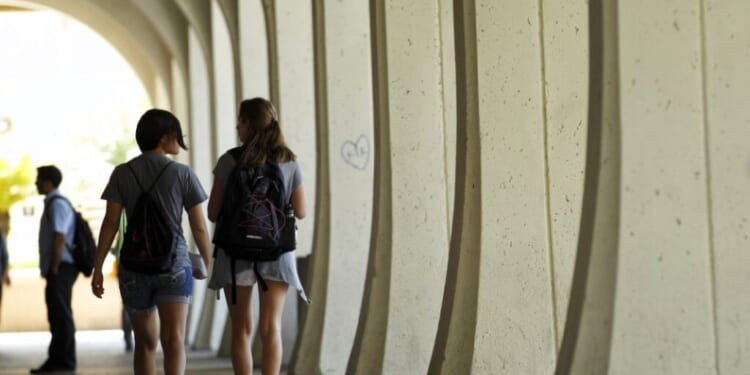 The woke war on standards is destroying higher education